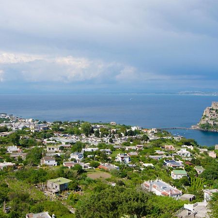 La Capannina - Hotel & Apartments Искья Экстерьер фото